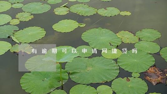 有逾期可以申请网捷贷吗 有逾期可以申请网捷贷吗