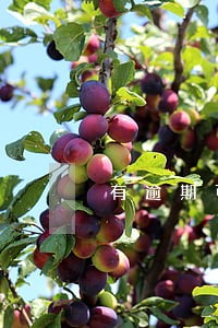 有逾期可以申请闪电贷吗 有逾期可以申请闪电贷吗