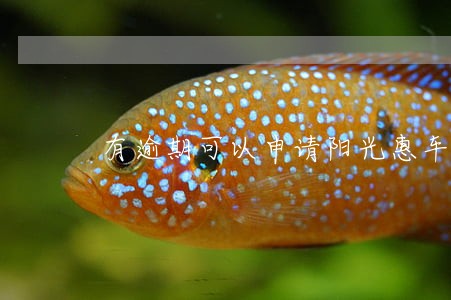 有逾期可以申请阳光惠车保 有逾期可以申请阳光惠车保