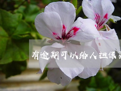 有逾期可以给人担保买房吗