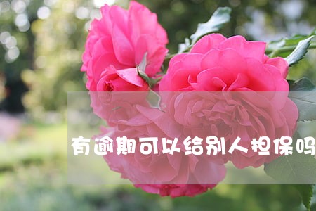 有逾期可以给别人担保吗 有逾期可以给别人担保吗