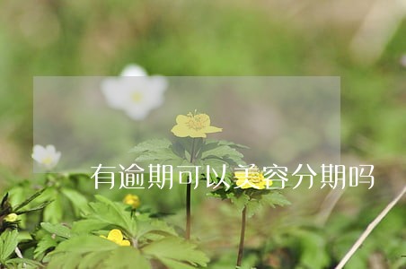 有逾期可以美容分期吗 有逾期可以美容分期吗