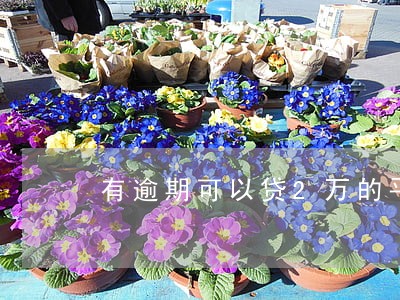 有逾期可以贷2万的平台 有逾期可以贷2万的平台