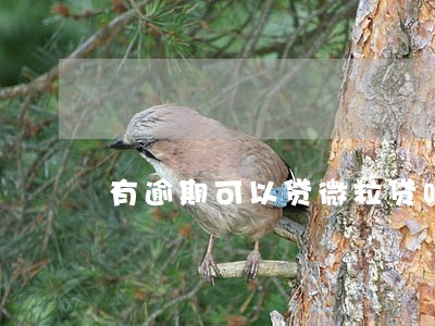 有逾期可以贷微粒贷吗