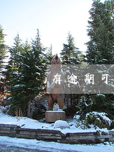 有逾期可以贷款整容吗 有逾期可以贷款整容吗