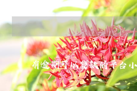 有逾期可以贷款的平台小额 有逾期可以贷款的平台小额