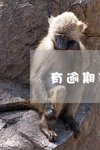 有逾期可以车抵押贷款吗 有逾期可以车抵押贷款吗