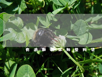 有逾期可以那些网贷 有逾期可以那些网贷