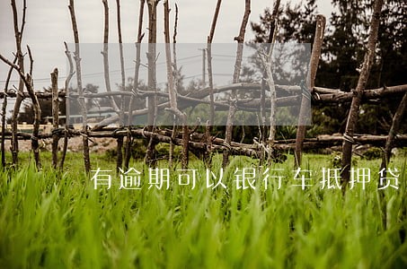 有逾期可以银行车抵押贷款吗 有逾期可以银行车抵押贷款吗