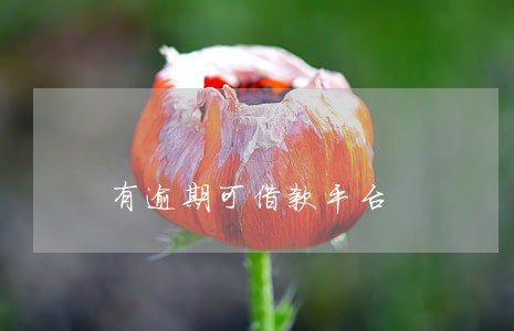 有逾期可借款平台 有逾期可借款平台