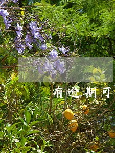 有逾期可现在需要一万块钱 有逾期可现在需要一万块钱