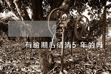 有逾期后结清5年的吗 有逾期后结清5年的吗