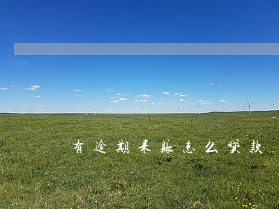 有逾期呆账怎么贷款 有逾期呆账怎么贷款