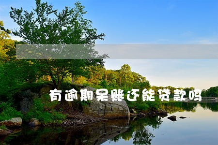 有逾期呆账还能贷款吗 有逾期呆账还能贷款吗