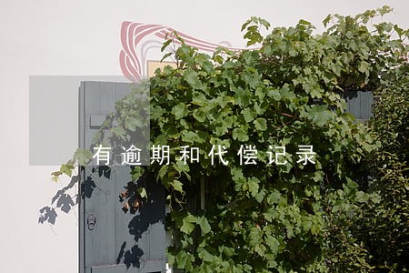 有逾期和代偿记录 有逾期和代偿记录