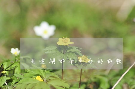 有逾期哪个平台好贷款 有逾期哪个平台好贷款
