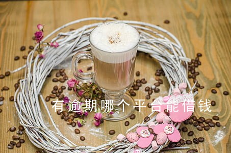 有逾期哪个平台能借钱 有逾期哪个平台能借钱
