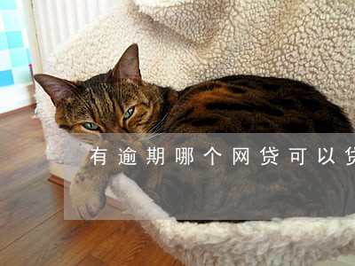 有逾期哪个网贷可以贷款 有逾期哪个网贷可以贷款