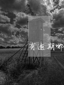 有逾期哪个网贷就能下款 有逾期哪个网贷就能下款
