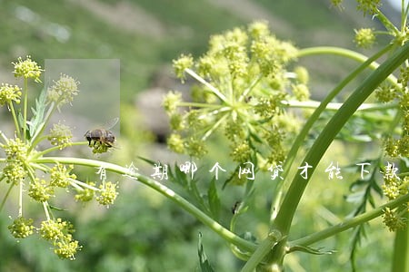 有逾期哪个网贷才能下款 有逾期哪个网贷才能下款