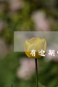 有逾期哪个网贷能下大额的 有逾期哪个网贷能下大额的