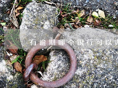 有逾期哪个银行可以办理贷款 有逾期哪个银行可以办理贷款