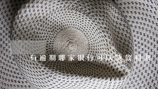 有逾期哪家银行可以贷款利率 有逾期哪家银行可以贷款利率