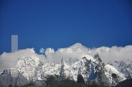 有逾期哪能办信用卡