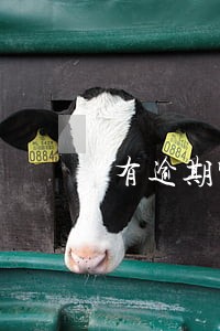有逾期哪里可以借款 有逾期哪里可以借款