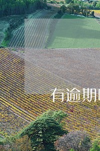 有逾期哪里可以办理贷款 有逾期哪里可以办理贷款
