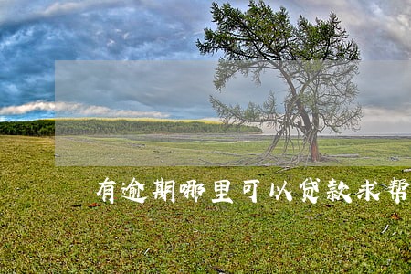 有逾期哪里可以贷款求帮忙 有逾期哪里可以贷款求帮忙