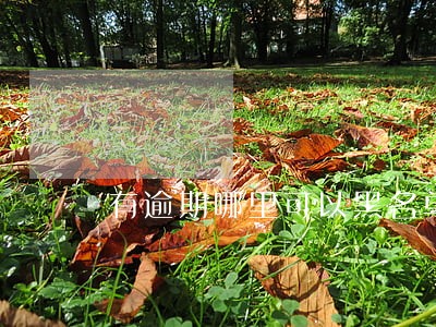 有逾期哪里可以黑名单贷款买车