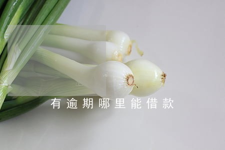 有逾期哪里能借款 有逾期哪里能借款