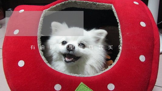 有逾期哪里能贷款买车 有逾期哪里能贷款买车