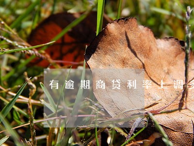 有逾期商贷利率上调多少 有逾期商贷利率上调多少