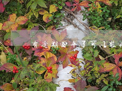 有逾期四年了可以装修贷吗