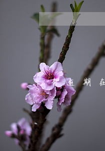 有逾期在哪个软件还能借到两万 有逾期在哪个软件还能借到两万