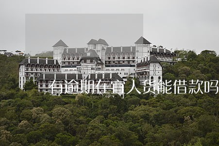 有逾期在宜人货能借款吗 有逾期在宜人货能借款吗