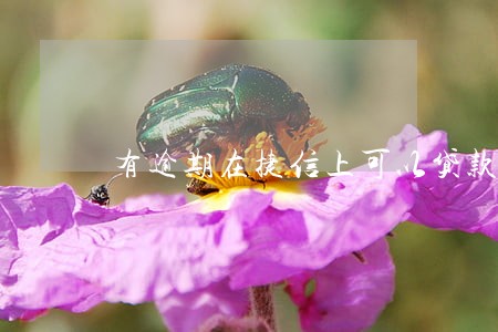 有逾期在捷信上可以贷款吗