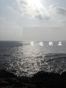 有逾期在调查报告中怎么写 有逾期在调查报告中怎么写
