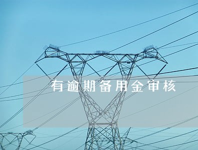 有逾期备用金审核 有逾期备用金审核