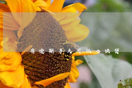 有逾期多久可以办快贷 有逾期多久可以办快贷