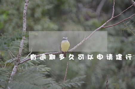 有逾期多久可以申请建行快贷