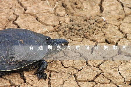 有逾期多久后可以贷款买房 有逾期多久后可以贷款买房