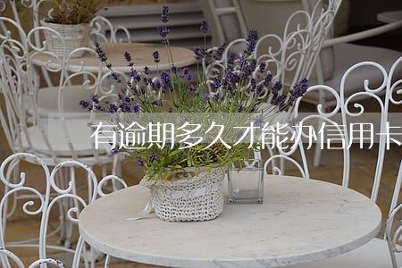 有逾期多久才能办信用卡