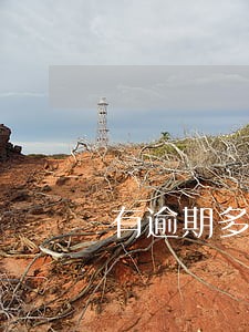 有逾期多久能贷款买房 有逾期多久能贷款买房