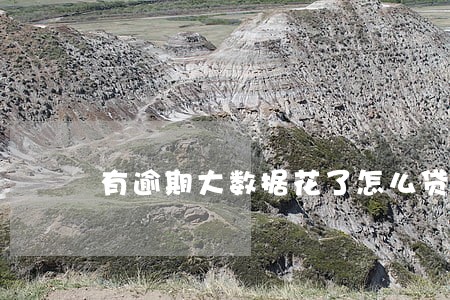 有逾期大数据花了怎么贷五万 有逾期大数据花了怎么贷五万