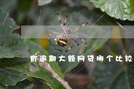 有逾期大额网贷哪个比较好通过 有逾期大额网贷哪个比较好通过