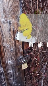 有逾期好借钱的软件 有逾期好借钱的软件