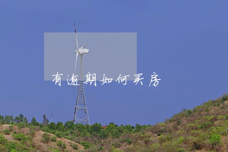 有逾期如何买房